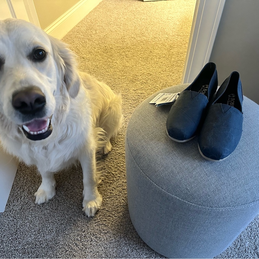 Women’s Bobs Navy shoes- size 7